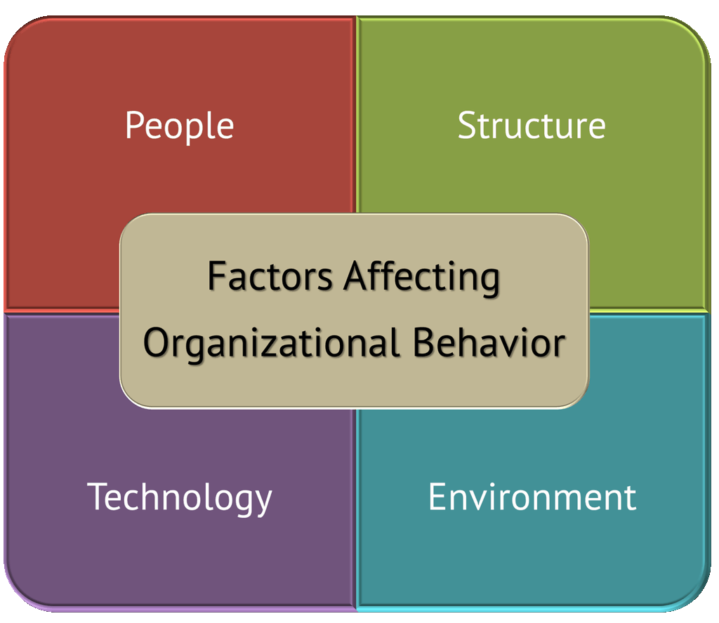 Societal And Organizational Factors Within The Creation