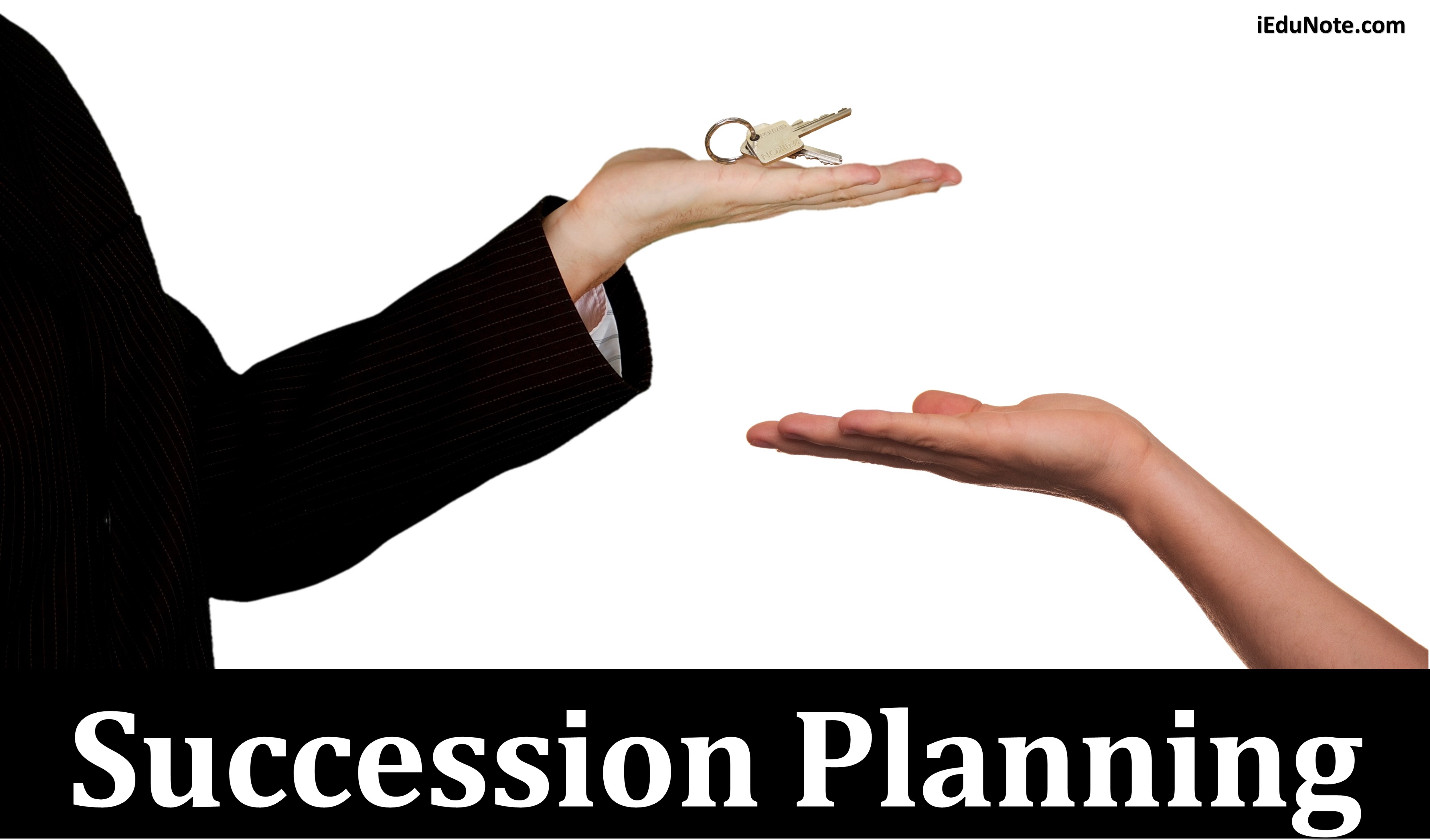 succession planning definition business studies